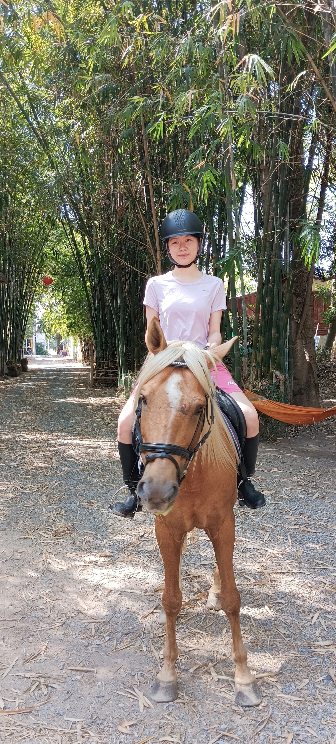 Horse riding / helmet and outdoor trail